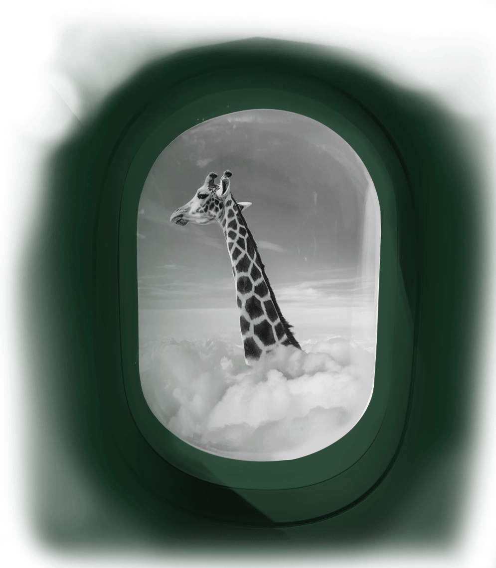 projektowanie stron jelenia góra